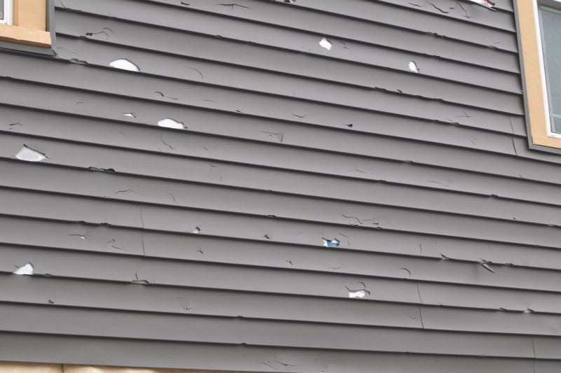 Local Siding Experts